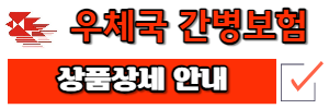 우체국 간병보험